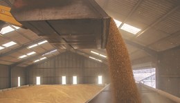 Grain drying, storage and pest management
